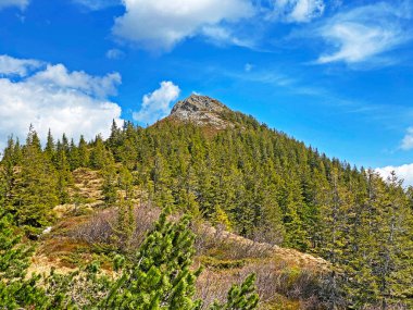 İsviçre 'nin Pilatus ve Emmental Alpler, Alpnach - İsviçre' nin Obwalden Kantonu 'nda (Kanton Obwalden, Schweiz)
