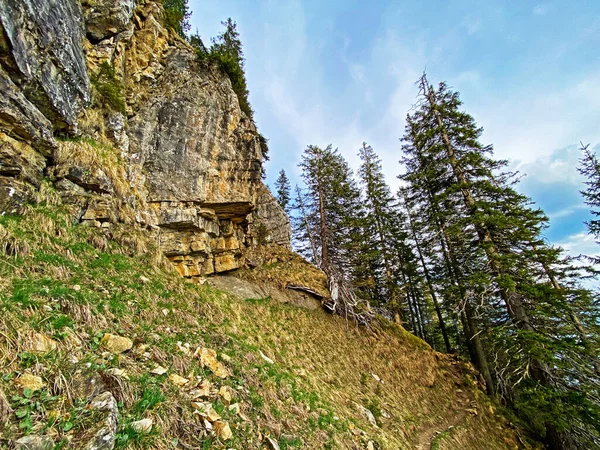 Камені Камені Швейцарському Гірському Хребті Пілатус Емментарних Альпах Альпнах Кантон — стокове фото