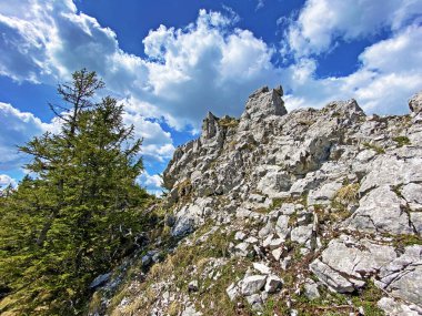İsviçre 'nin Pilatus dağ sırasındaki Risetestock tepesinde ve Emmental Alpler, Alpnach - Obwalden Kantonu, İsviçre (Kanton Obwalden, Schweiz)
