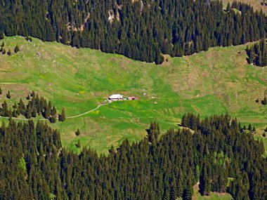 Dağların eteklerinde ve dağların eteklerindeki dağlık vadilerde Alpnach - Obwalden Kantonu, İsviçre (Kanton Obwalden, Schweiz)