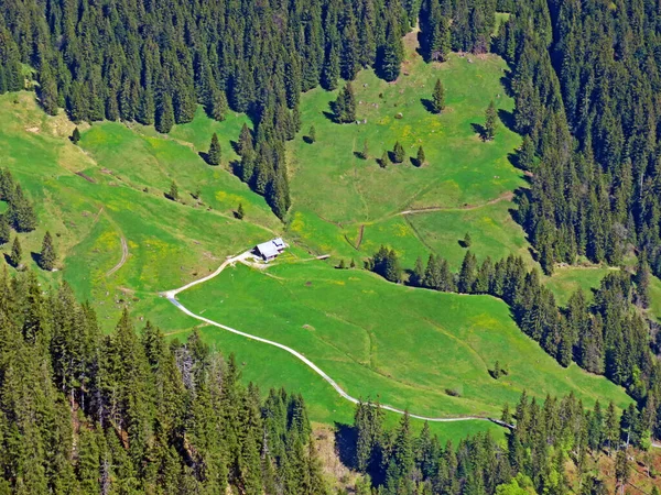 Alpängar Och Gräsmarker Pilatusmassivets Sluttningar Och Alpina Dalarna Vid Foten — Stockfoto