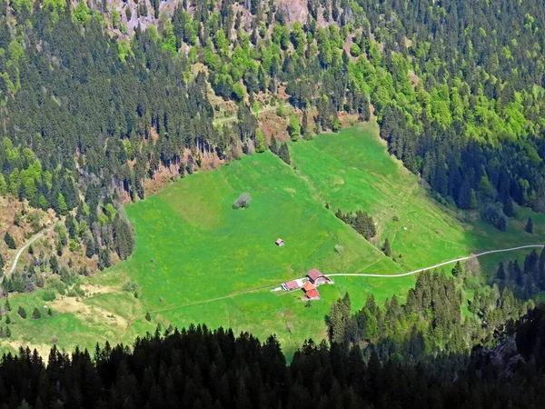 Pastagens Prados Alpinos Nas Encostas Maciço Pilatus Nos Vales Alpinos — Fotografia de Stock