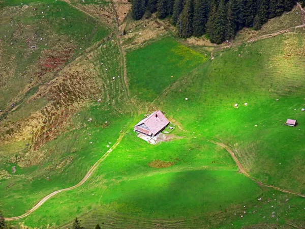 Dağların eteklerinde ve dağların eteklerindeki dağlık vadilerde Alpnach - Obwalden Kantonu, İsviçre (Kanton Obwalden, Schweiz)