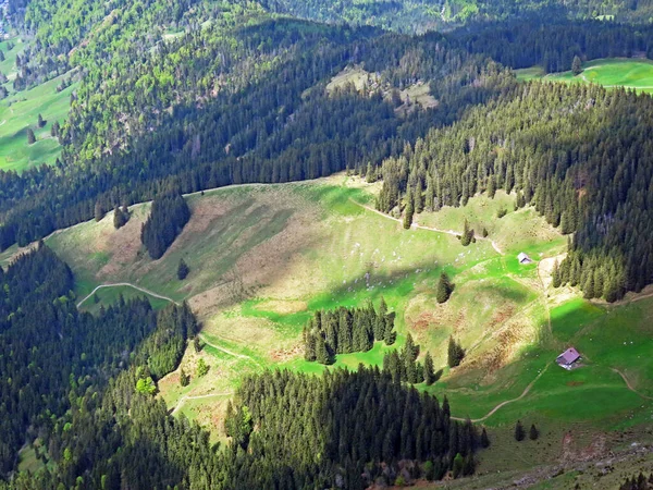 Alpages Prairies Alpines Sur Les Pentes Massif Pilatus Dans Les — Photo