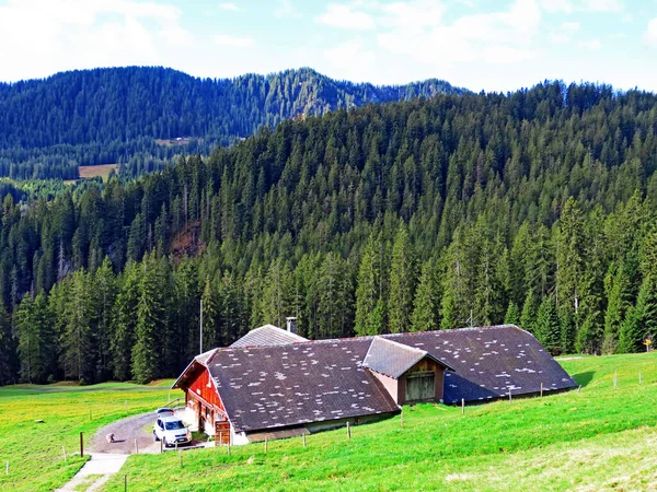 전통적 농장은 필라투스 프나흐 스위스 Kanton Obwalden Schweiz 비탈에 자리잡고 — 스톡 사진