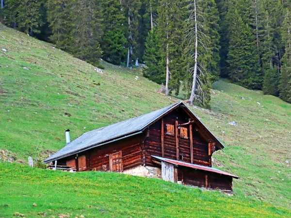 Traditional Rural Architecture Family Livestock Farms Slopes Pilatus Mountain Massif — Stock Photo, Image