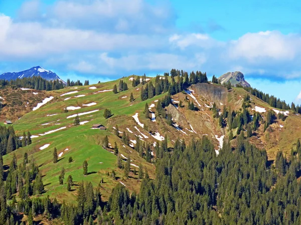 Bukit Alpen Pertama Sebelah Pegunungan Swiss Pilatus Dan Emmental Alpen — Stok Foto