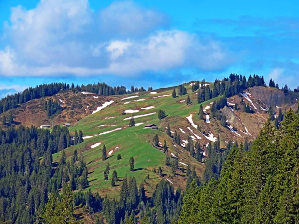 Colina Alpina Primero Junto Cordillera Suiza Pilatus Los Alpes Emmentales — Foto de Stock