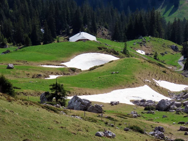 Atmosphère Printanière Alpine Avec Les Derniers Vestiges Hiver Neige Sur — Photo