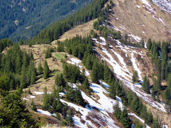Pilatus Dağ Sırasının Yamaçlarında Kalan Son Kış Kar Kalıntılarıyla Alpnach — Stok fotoğraf