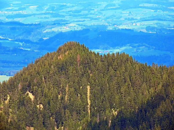 Colline Montagne Alpine Hueenerhubel Huenerhubel Sur Vallée Eigental Eigenthal Canton — Photo
