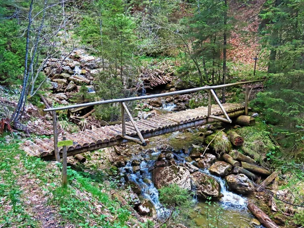 Piccolo Ponte Legno Foresta Sul Torrente Schybach Sulle Pendici Della — Foto Stock