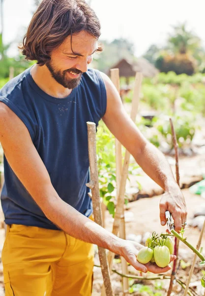 Joven Agricultor Que Trabaja Jardín —  Fotos de Stock