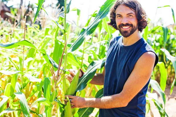 Bonito Barbudo Agricultor Jardim — Fotografia de Stock