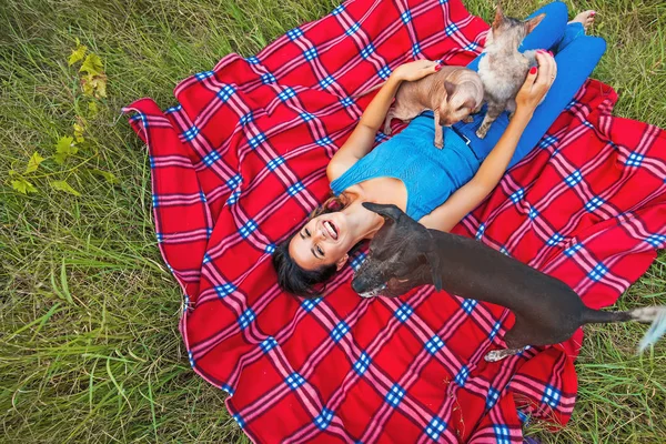 Mujer jugando con perros —  Fotos de Stock