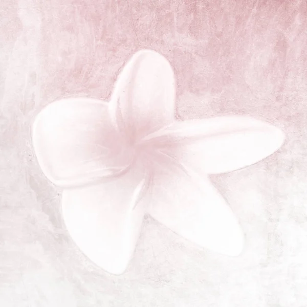 Sfondo fiore in morbido acquerello rosa — Foto Stock