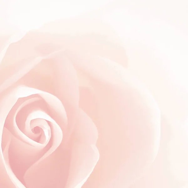 Rosa suave fondo vintage — Foto de Stock