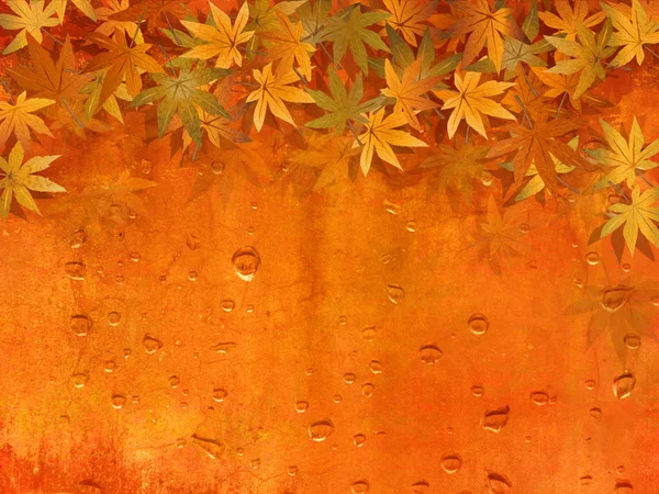 秋天叶子边界与雨滴-感恩节背景 — 图库照片