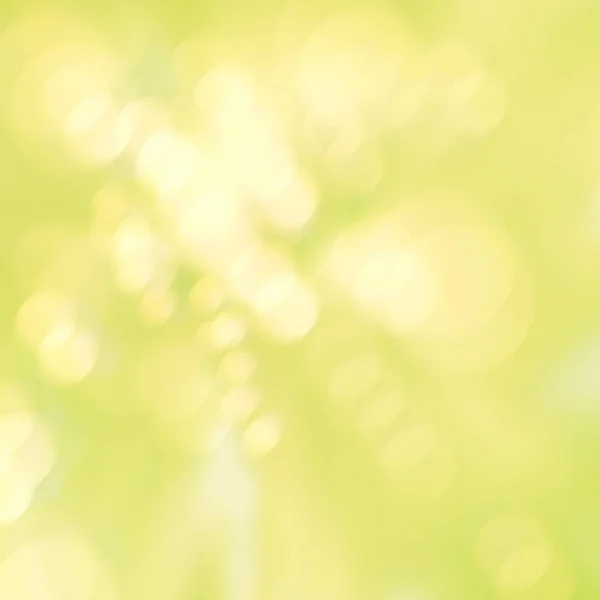 Clean green yellow spring background with soft blurred bokeh lights — Stock Photo, Image