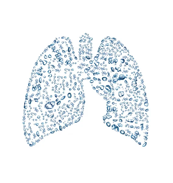 Płuca składają się z pęcherzyków Obrazek Stockowy