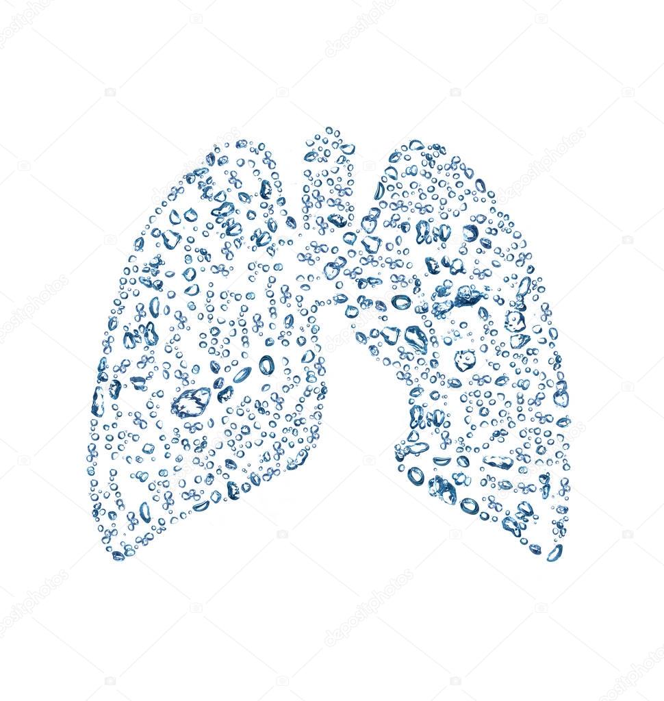 Lungs consist of bubbles