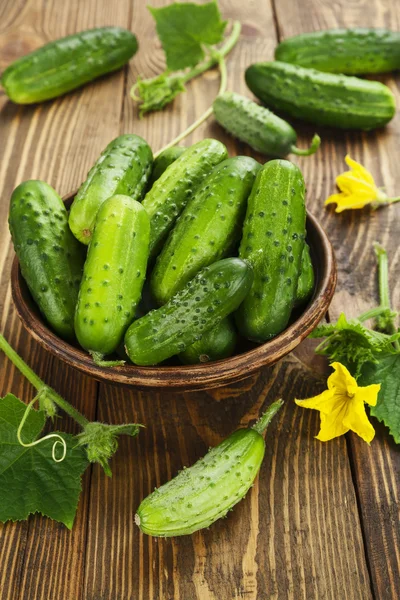 organik taze salatalık