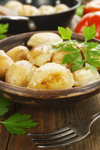 Fried dumplings with meat — Stock Photo, Image