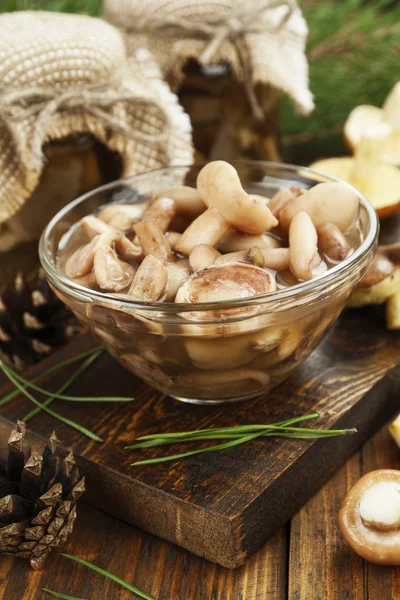 Pickled and fresh mushrooms — Stock Photo, Image