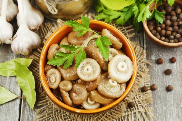 Pickled mushrooms in the ceramic bowl — Stock Photo, Image