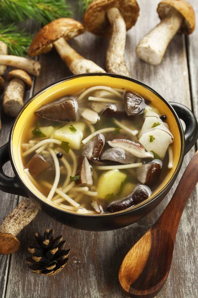 Homemade mushroom soup — Stock Photo, Image