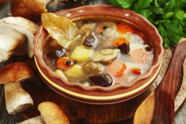 ev yapımı mantar çorbası