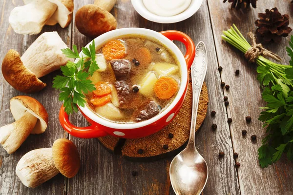 Domácí houbová polévka — Stock fotografie