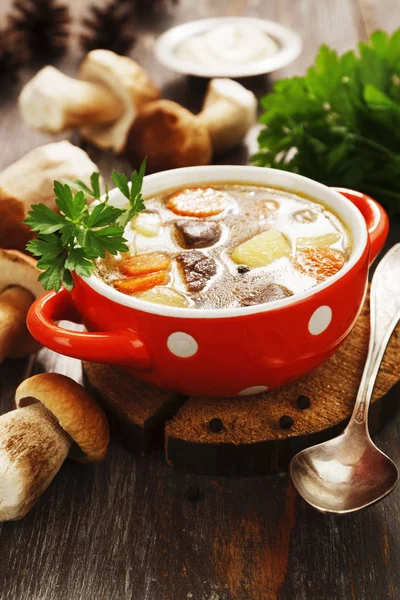 Домашний грибной суп — стоковое фото