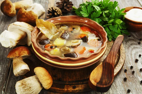 Домашнє грибний суп — стокове фото