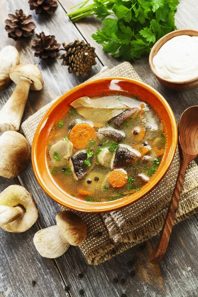 Sopa casera de champiñones —  Fotos de Stock