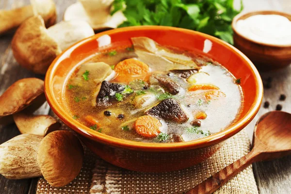 Homemade mushroom soup — Stock Photo, Image