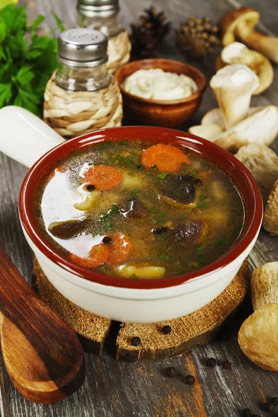 Домашнє грибний суп — стокове фото