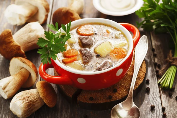 Домашний грибной суп — стоковое фото