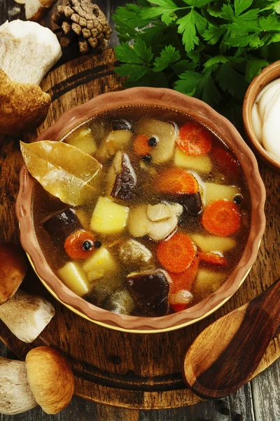 Sopa de cogumelo caseiro — Fotografia de Stock