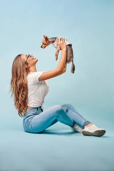 Bir köpek ile sarışın kız — Stok fotoğraf