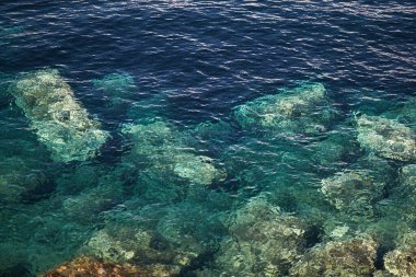 Mavi berrak suda bir sürü taş var. 