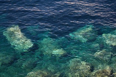 Mavi berrak suda bir sürü taş var. 