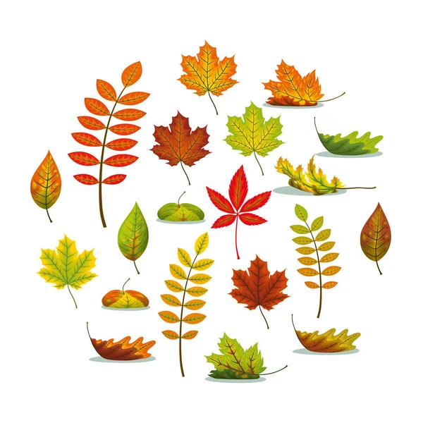 Instellen met verschillende Herfstbladeren — Stockvector