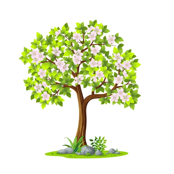 Ilustración de un árbol en primavera sobre fondo blanco — Vector de stock