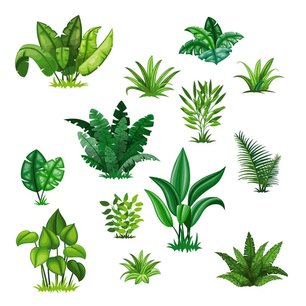 Instellen met verschillende tropische planten — Stockvector