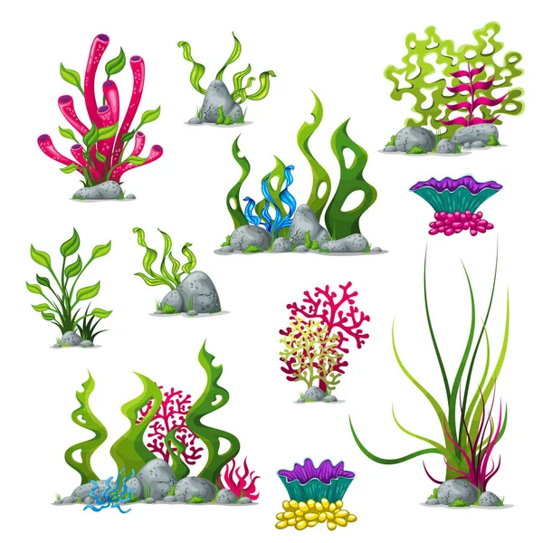 Set di diverse piante subacquee — Vettoriale Stock