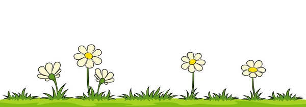 Flores sobre un prado sobre fondo blanco — Vector de stock