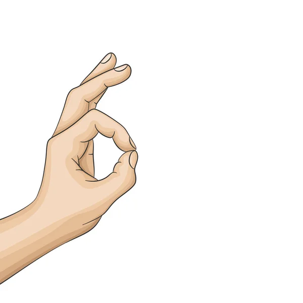 Značka gesto ruky vynikající nebo v pořádku. — Stockový vektor