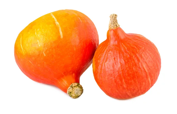 Calabazas rojo kuri hokkaido aislado en blanco — Foto de Stock