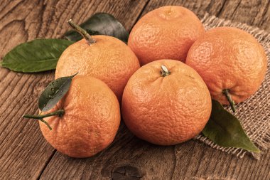 Mandalina mandalina natürmort resim vintage tarzı tonda